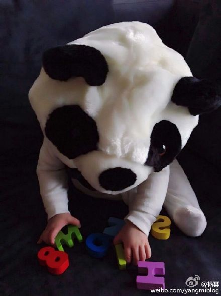 楊冪曬小糯米靚照拜年