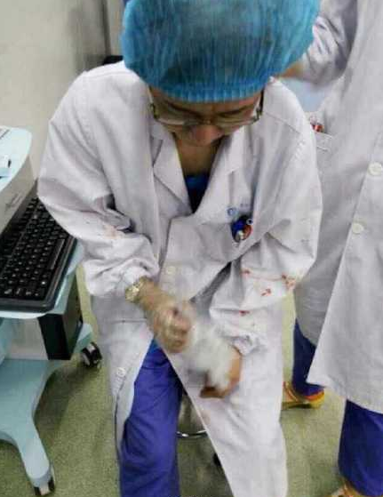 圖為受傷的醫生