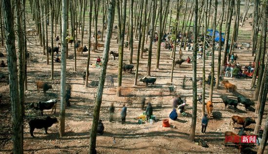 荷賽獎獲獎作品