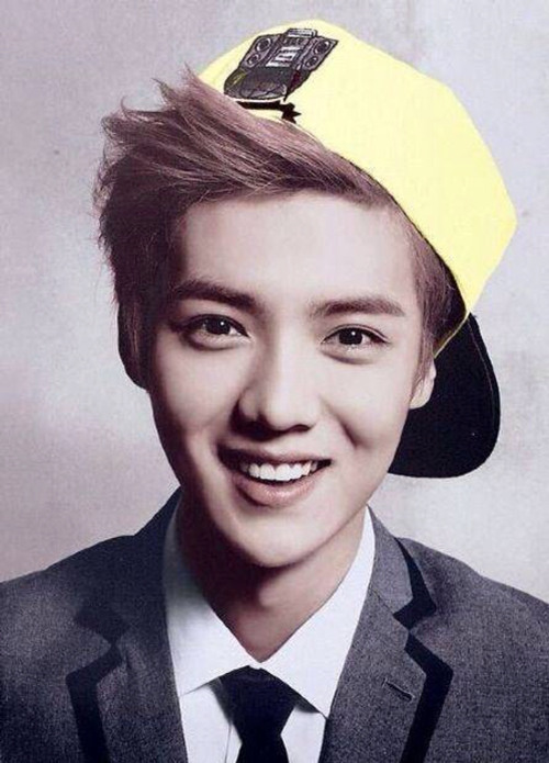 鹿晗個人資料 exo鹿晗家庭背景殷實其父是軍人