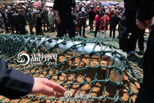 蒼南事故現(xiàn)場