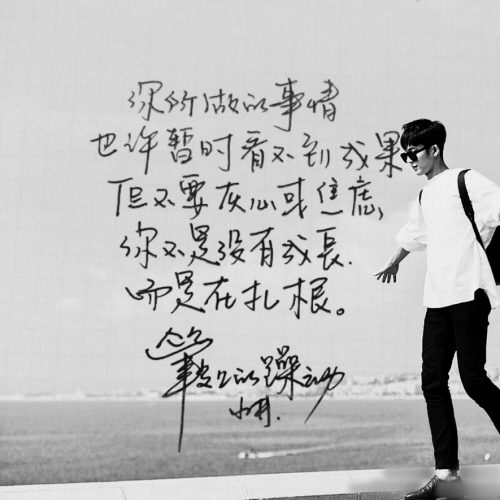 井柏然字體走紅