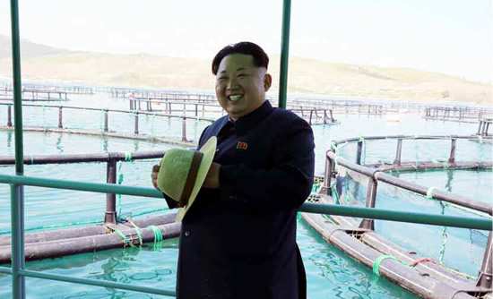 金正恩視察養魚場