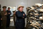 金正恩視察養魚場心情好 視察甲魚養殖場發飚