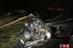 哈爾濱暴雨 大風刮斷大樹砸中行駛中的車輛1人遇難