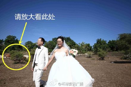 巴厘島婚紗照拍出鄉(xiāng)村味