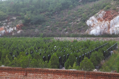 北京現(xiàn)活死人墓 上寫姚明之墓