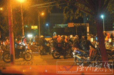 黑枸杞遭強行盜采人員集結(jié)出發(fā)