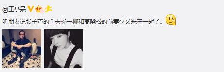 張子萱老公楊一柳戀上高曉松前妻