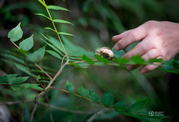 夫妻隱居深山18年