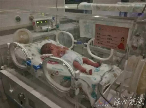 剛出生的寶寶在保溫箱內