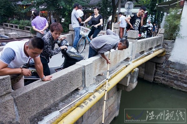 千年古河浮魚蝦圖片