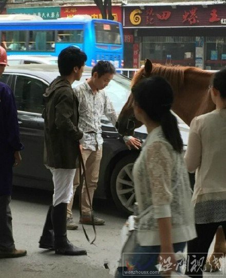 南昌馬受驚踢寶馬轎車