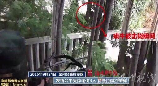 婆媳倆勇救嬰孩受傷