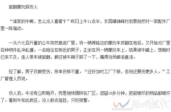 婆媳倆從瘋牛肚子下救下孩子