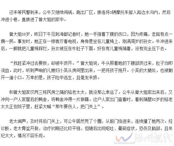 泉州錦峰村瘋牛事件