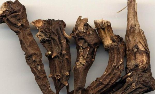 村民煮食草烏中毒