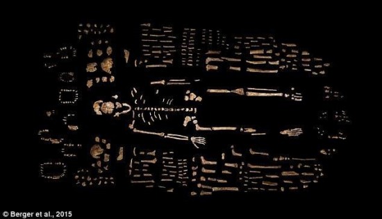 南非現(xiàn)新人種遺骸