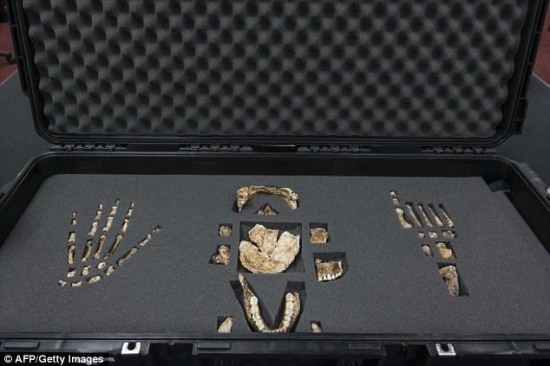 南非現(xiàn)新人種遺骸