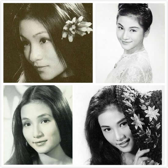 鄭佩佩年輕時候的照片