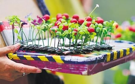 賣萌神器頭上長草發夾