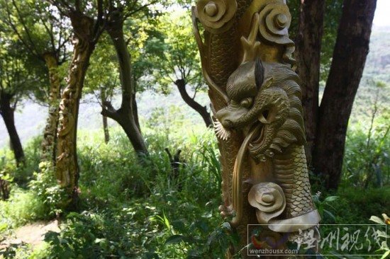 寧波現活體樹雕