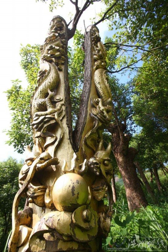 寧波現活體樹雕