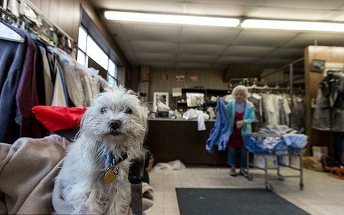 百歲老太自食其力 每天工作11小時(shí)