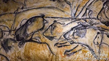 西伯利亞發(fā)現(xiàn)古代獅子尸體