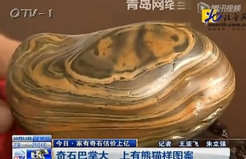 撿奇石有熊貓圖案