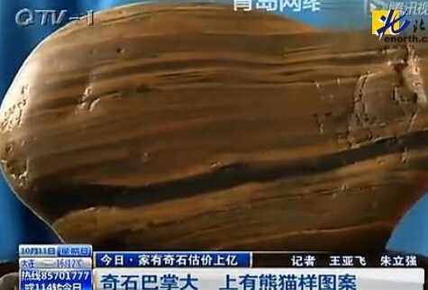 撿奇石有熊貓圖案