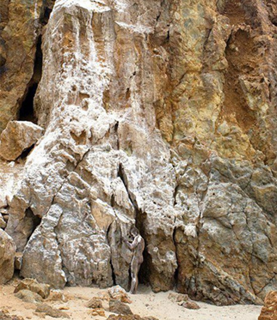 人體彩繪藝術圖片