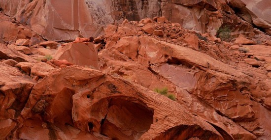 國外人體彩繪藝術(shù)圖片