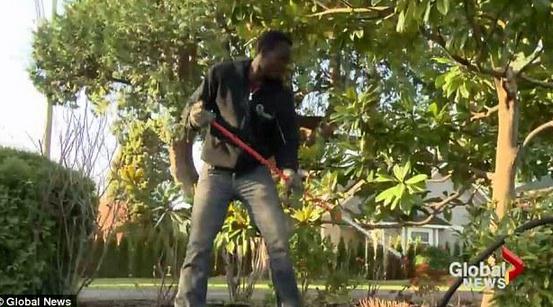 環衛工辭職當國王