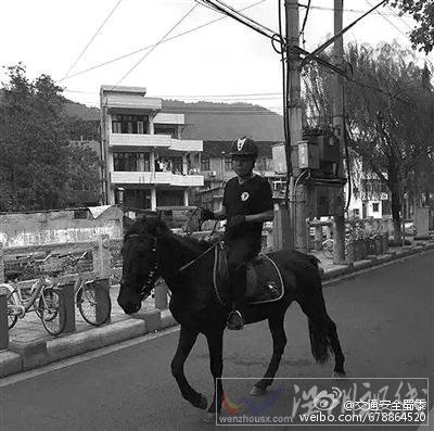 連人帶馬被寶馬撞飛