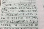 小學(xué)生心酸作文 媽媽生二胎后對老大缺少關(guān)愛