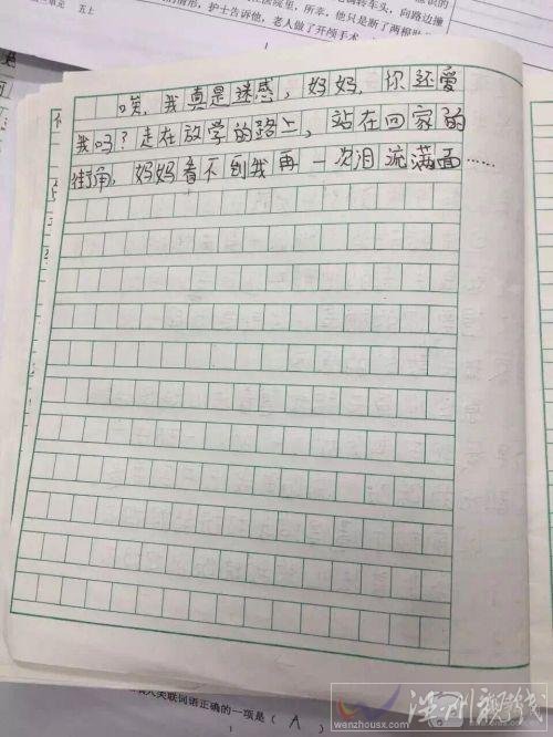小學生因缺少關愛寫心酸作文