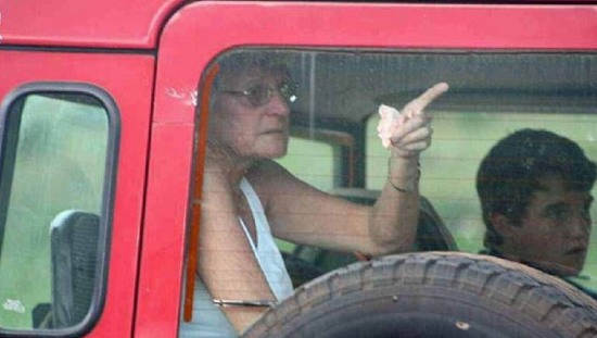 游覽車(chē)遭獅群圍攻