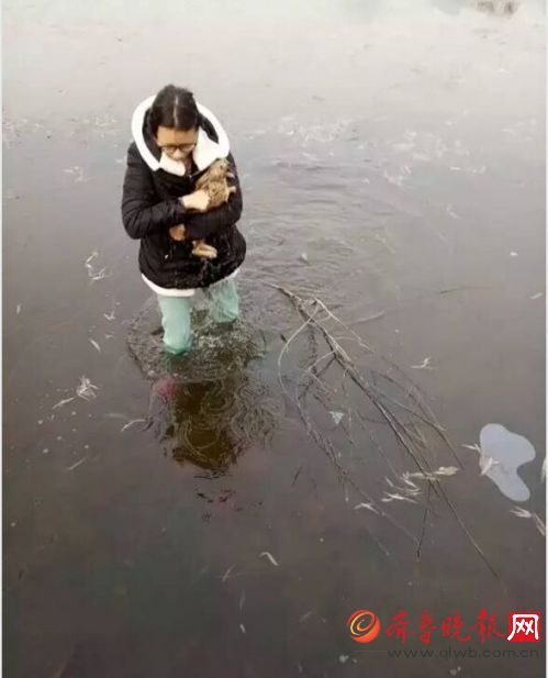 學(xué)生跳冰湖救野兔