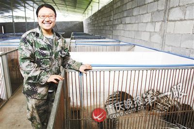 工程師辭職養豪豬