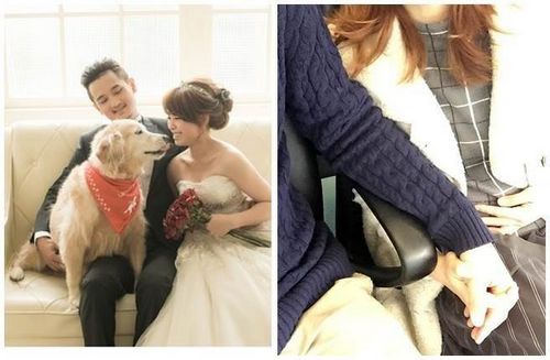 女星彎彎宣布懷孕