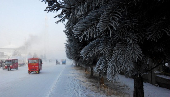 呼倫貝爾市遭遇極端低溫天氣