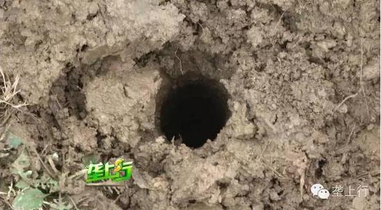 魚內(nèi)臟被爆炸震碎