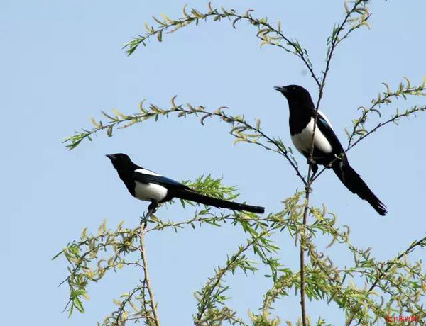 富豪讓兒子去農(nóng)村體驗貧窮