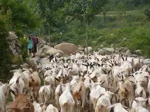 富豪讓兒子去農(nóng)村體驗貧窮