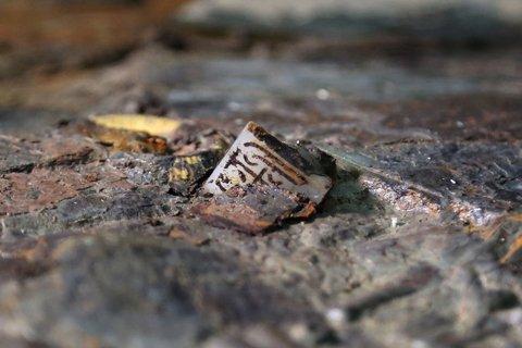 海昏侯墓主身份確定