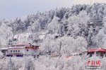 廬山霧凇 廬山三月飄雪現霧凇奇觀
