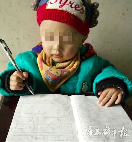 李小璐遭網(wǎng)絡(luò)詐騙