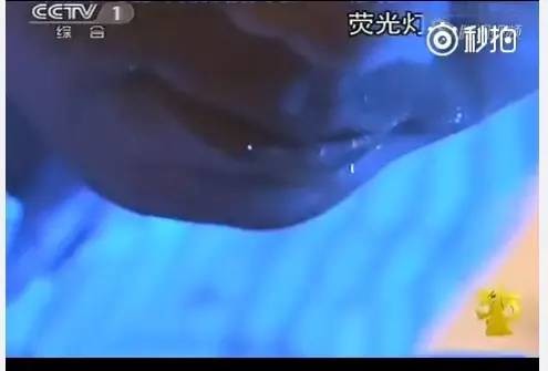 央視曝光劣質餐巾紙含致癌物