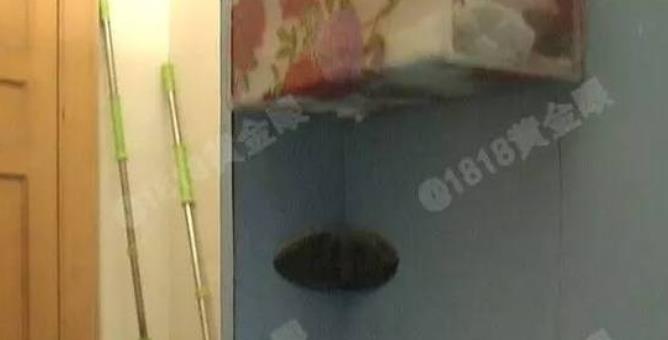 廁所摸出攝像頭